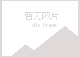 黑龙江紫山计算机有限公司